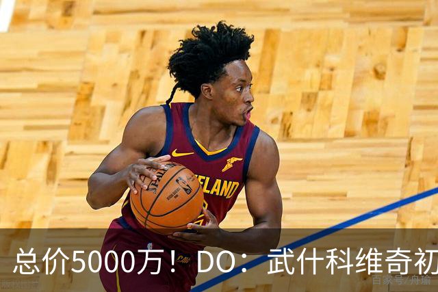 总价5000万！DO：武什科维奇初始转会费4600万镑，热刺有二转分成