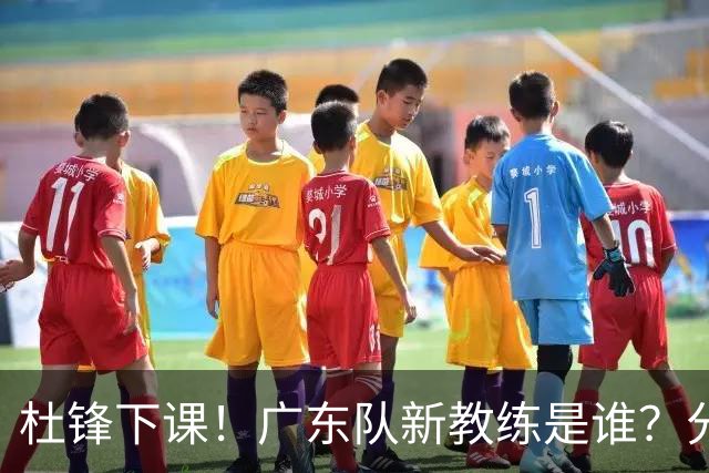 杜锋下课！广东队新教练是谁？分析3选1